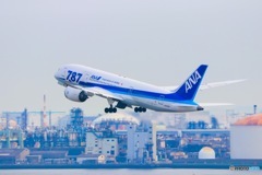 ANA B-787