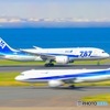 ANA B-787