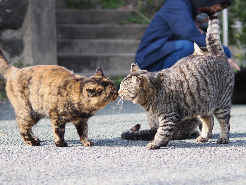 ご挨拶