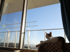 あじおの空