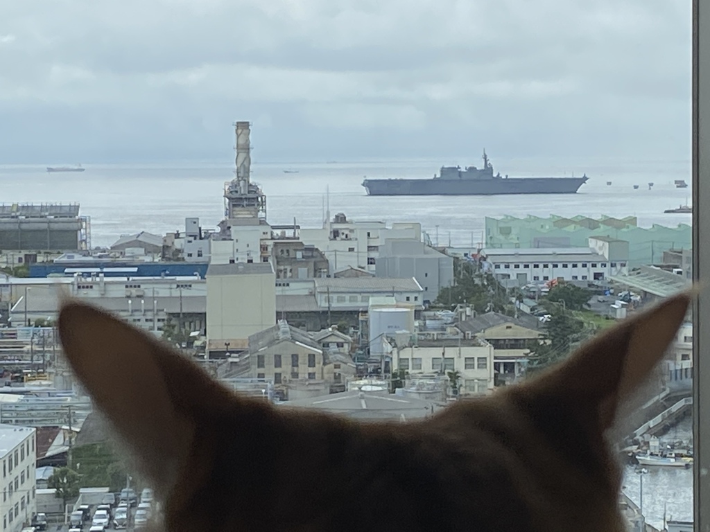 艦が行く…