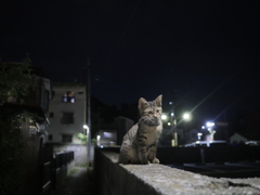 頑張って生きてるな！おう、お前もな！