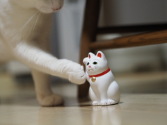 おい、お前誰だ？
