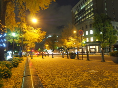 夜の日本大通り1