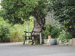 ちょっと恥ずかしい