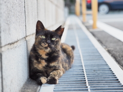 にゅーん