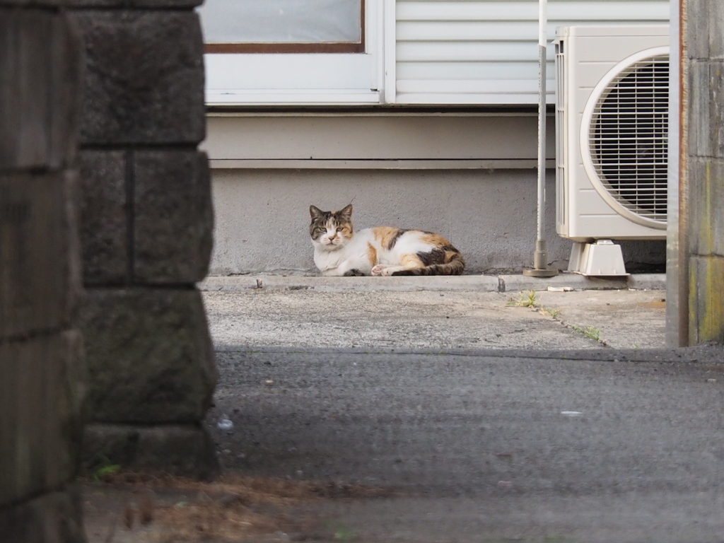 ばあちゃん