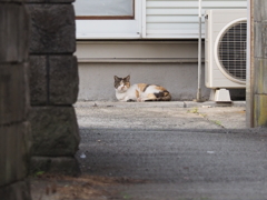 ばあちゃん