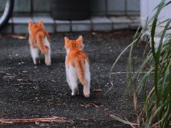 お前は俺か？
