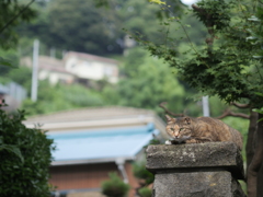 門番