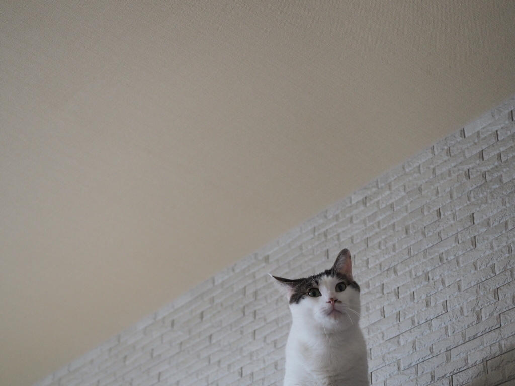ぽつんと