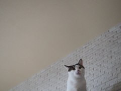 ぽつんと