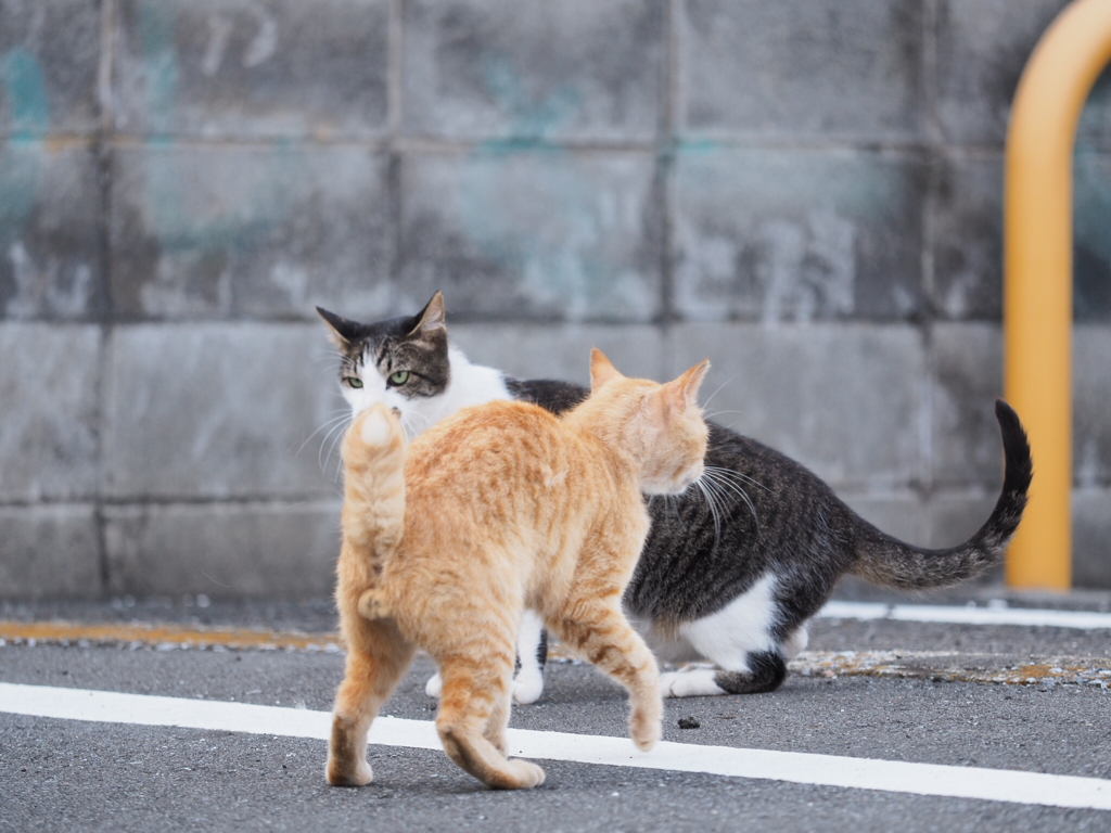 そしてすれ違い
