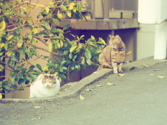 街角で