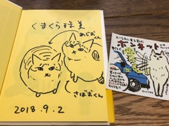猫を愛してやまないあなたに。3