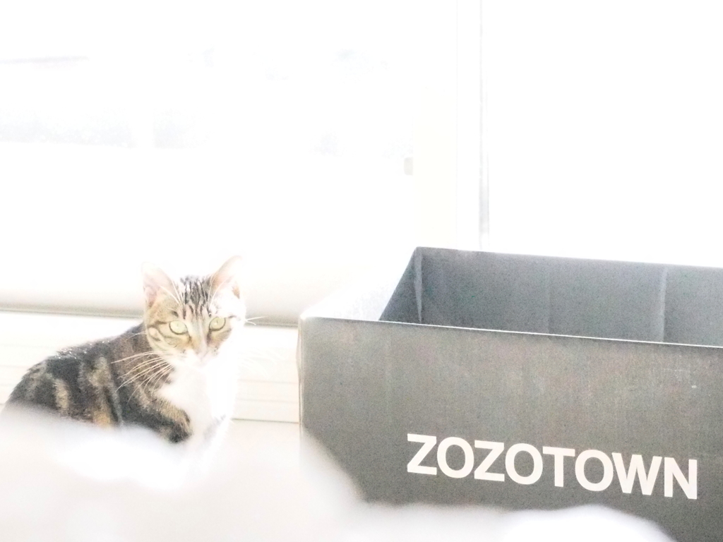 ZOZOTOWN