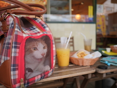 あじおとモスバーガー