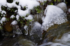 氷柱
