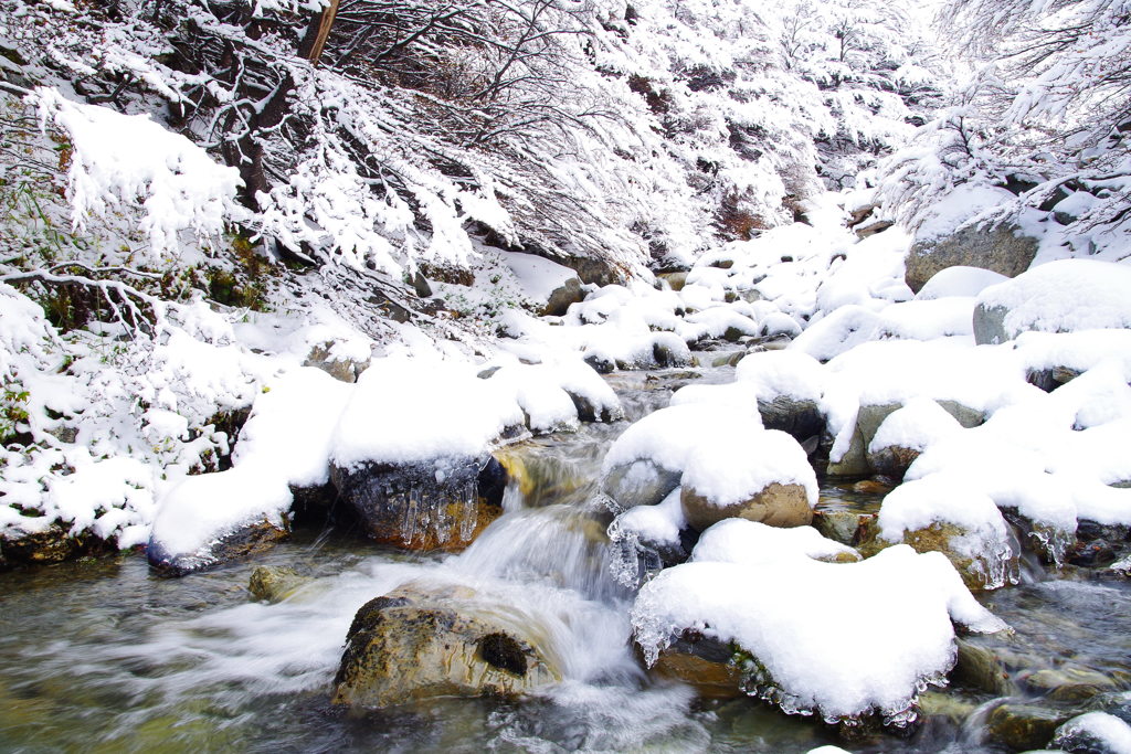 雪の小川