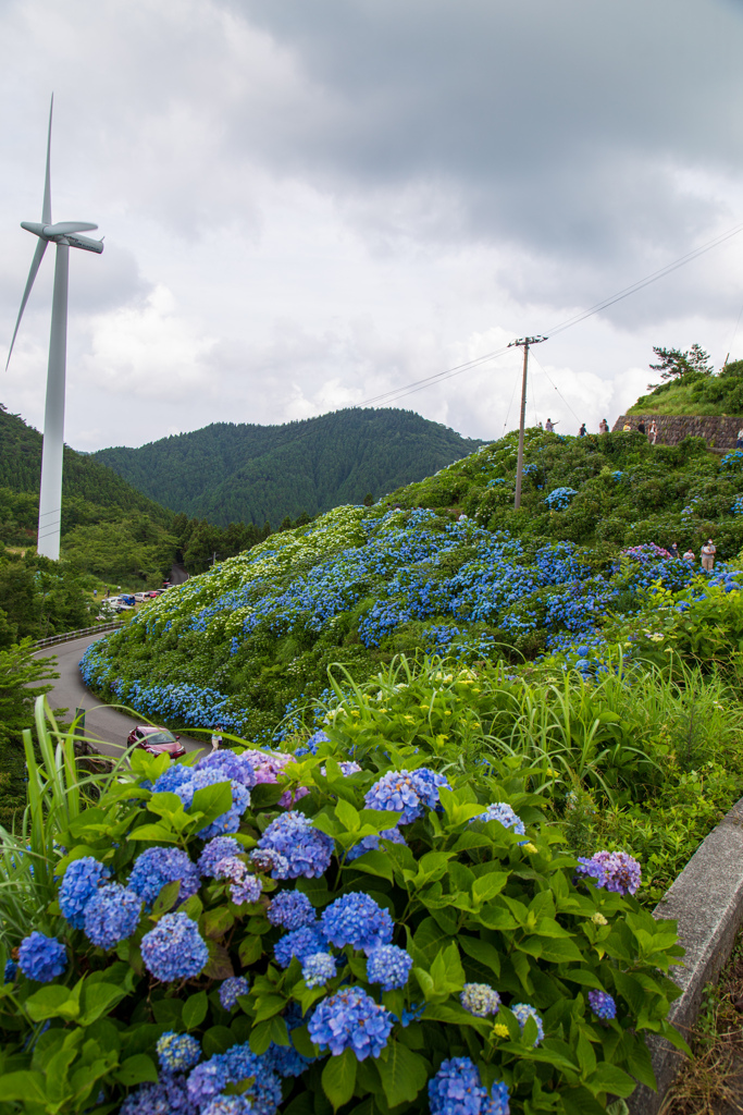 大川原ＢＬＵＥ