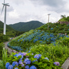 大川原ＢＬＵＥ