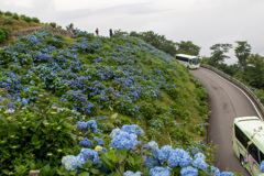お花見バスツアー