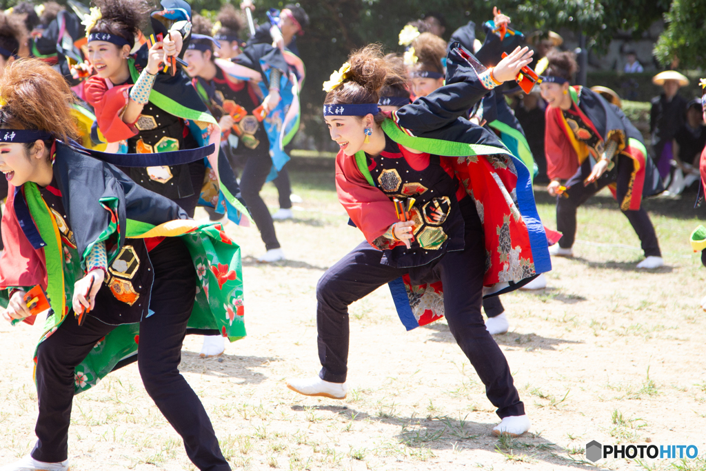 名古屋城よさこい