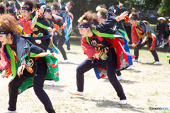 名古屋城よさこい