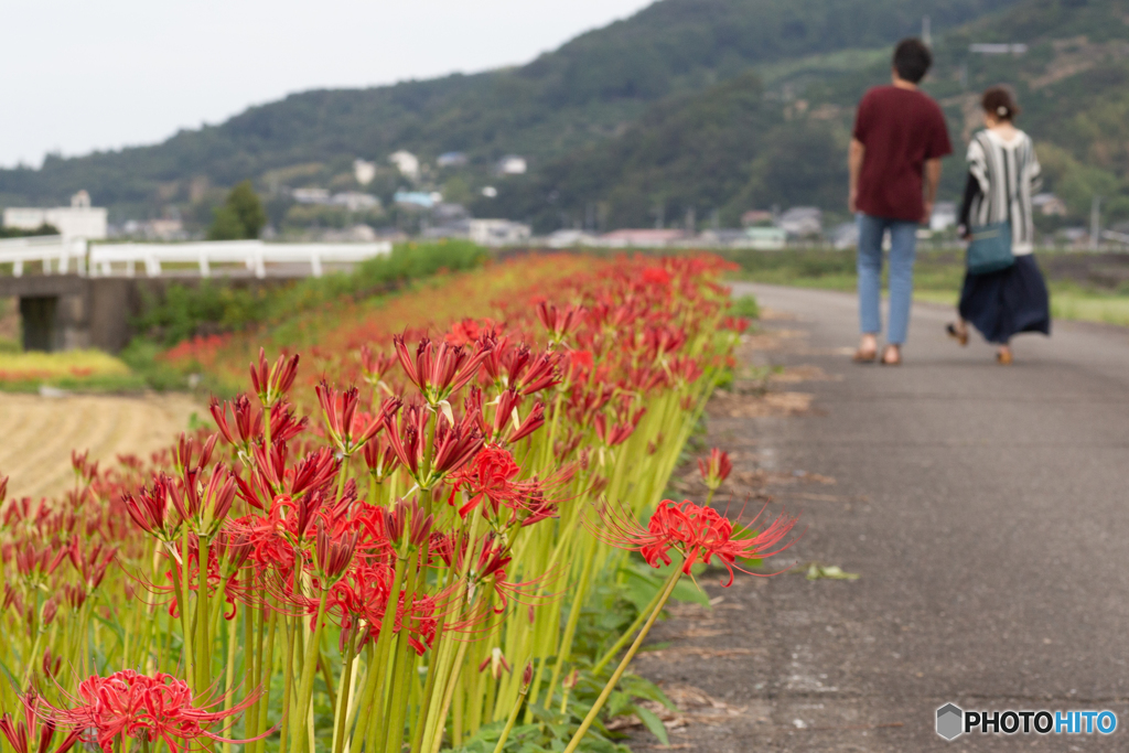 お花見！