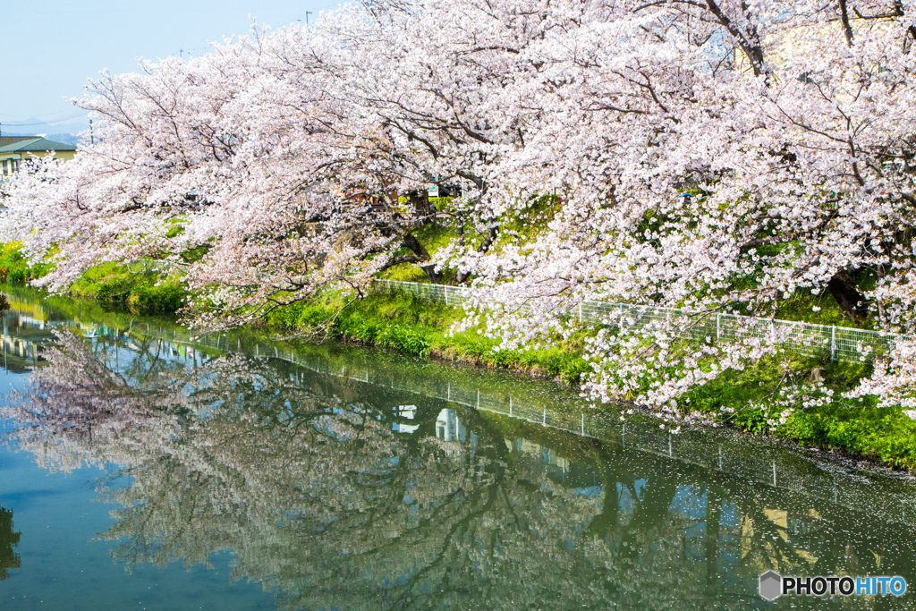 袋井用水