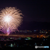 夜空の花