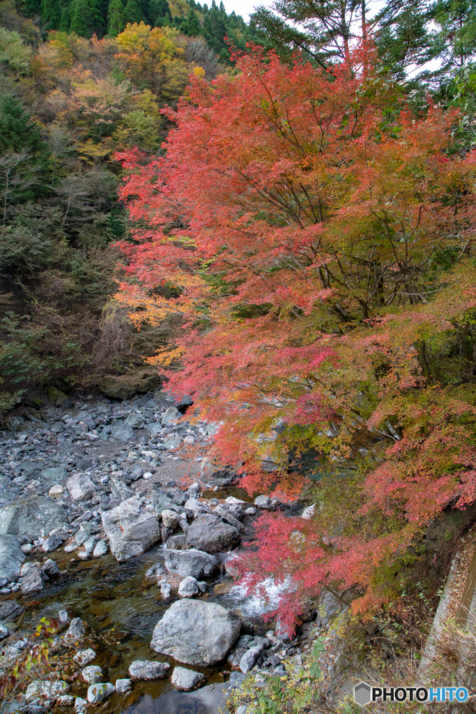 紅葉の旅