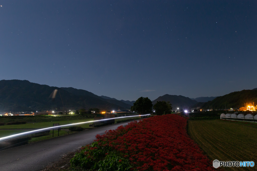 Higanbana Night!