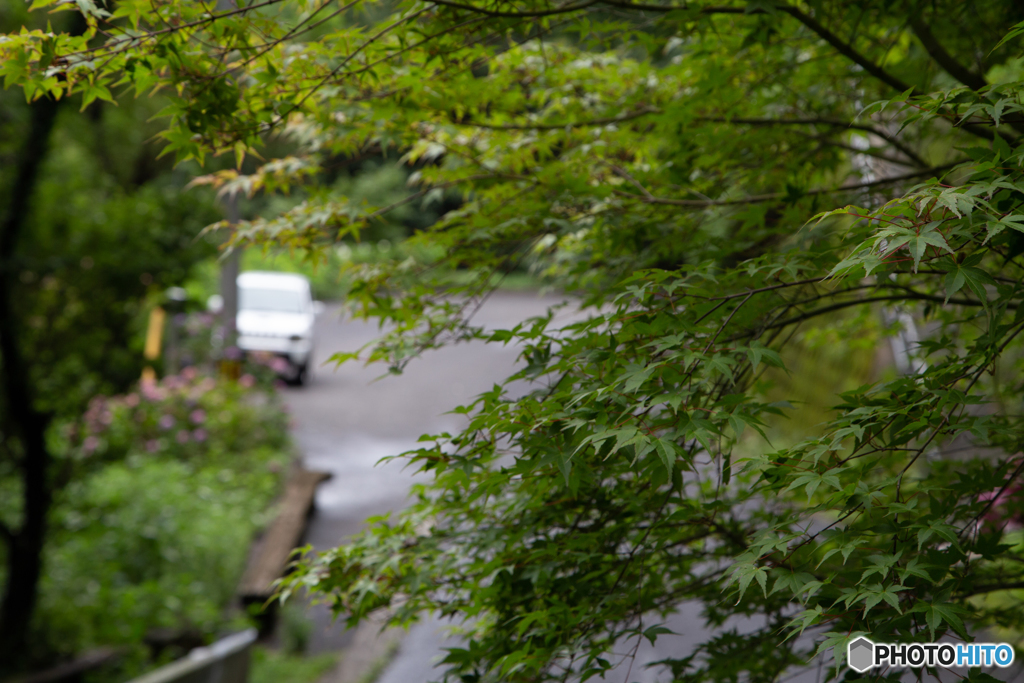 今日はＪＩＭＮＹ