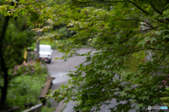 今日はＪＩＭＮＹ