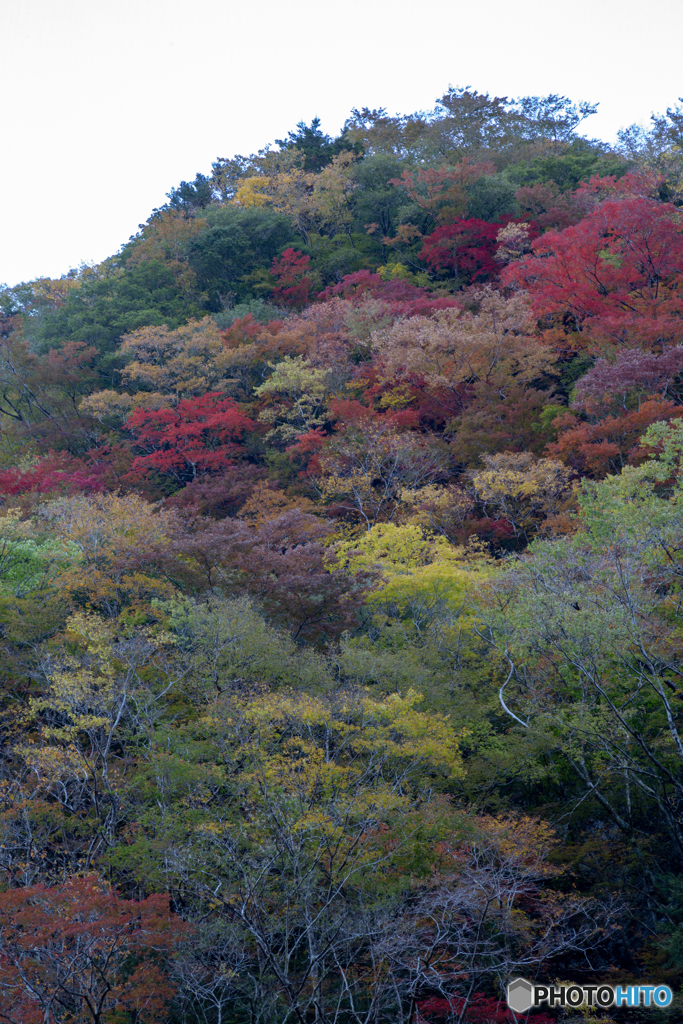 紅葉別府渓