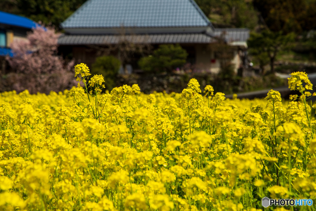 懐かし風景