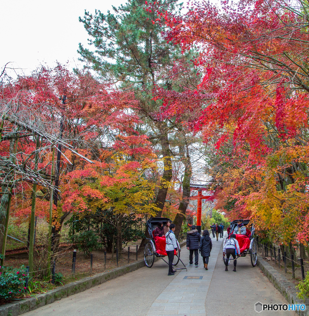 宇治上神社