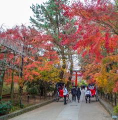 宇治上神社
