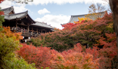 東寺　展望所