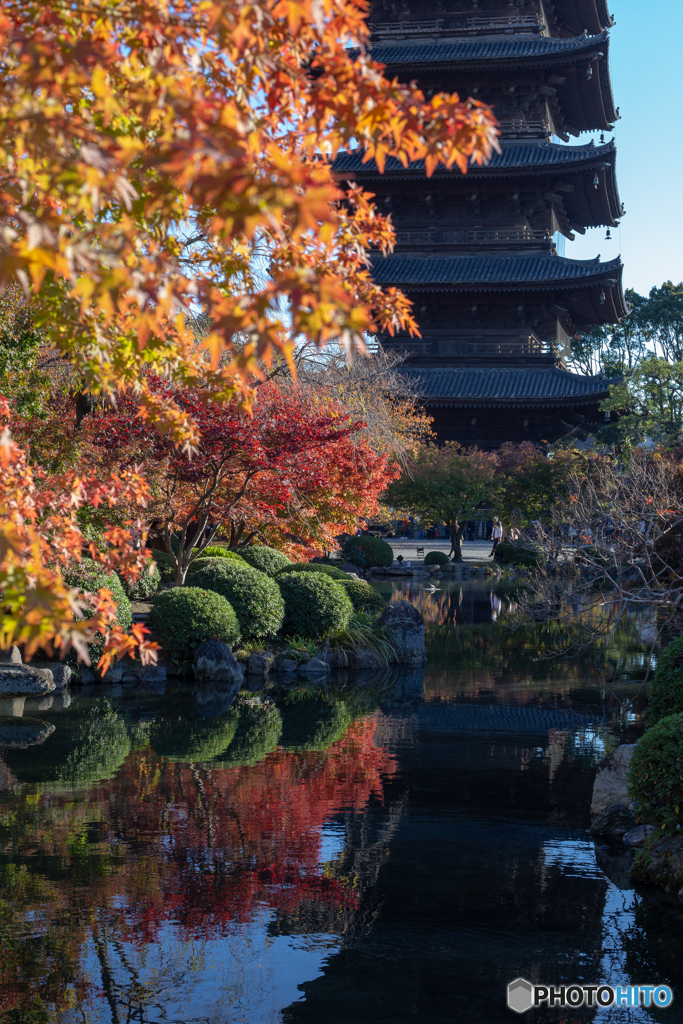 東寺の五重塔