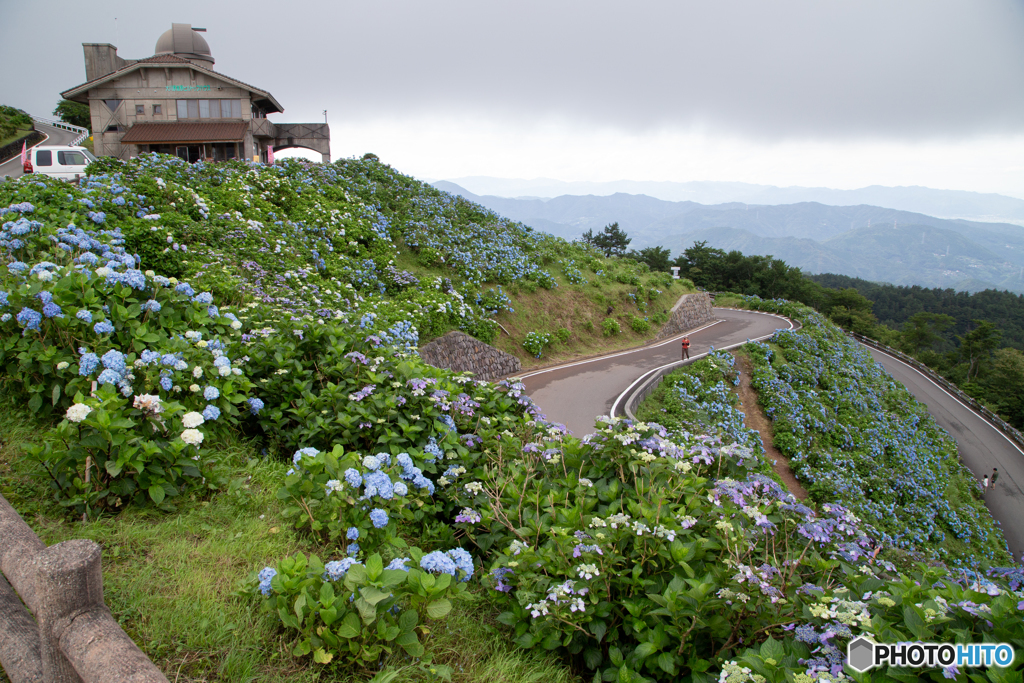 天空の大川原高原