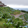 天空の大川原高原