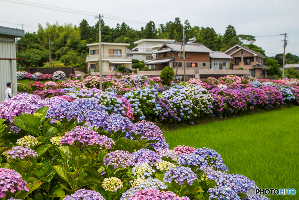 田舎の風情