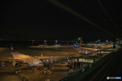 夜のAirPort