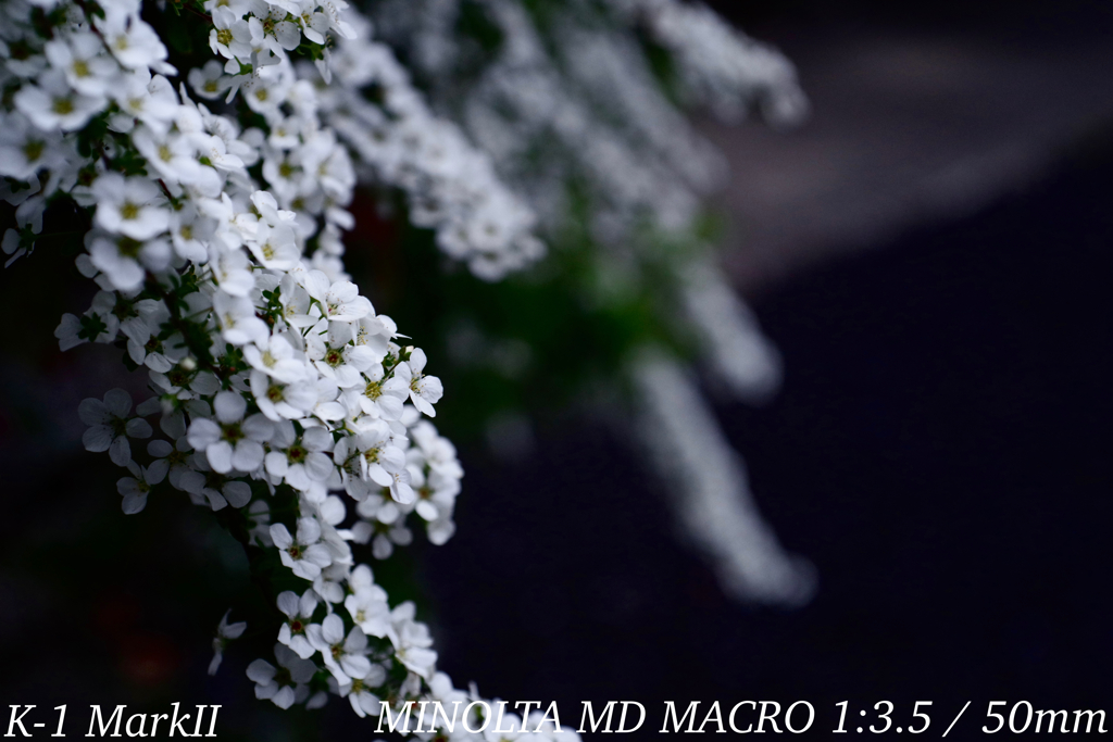 MINOLTA MD MACRO 1:3.5 / 50mm