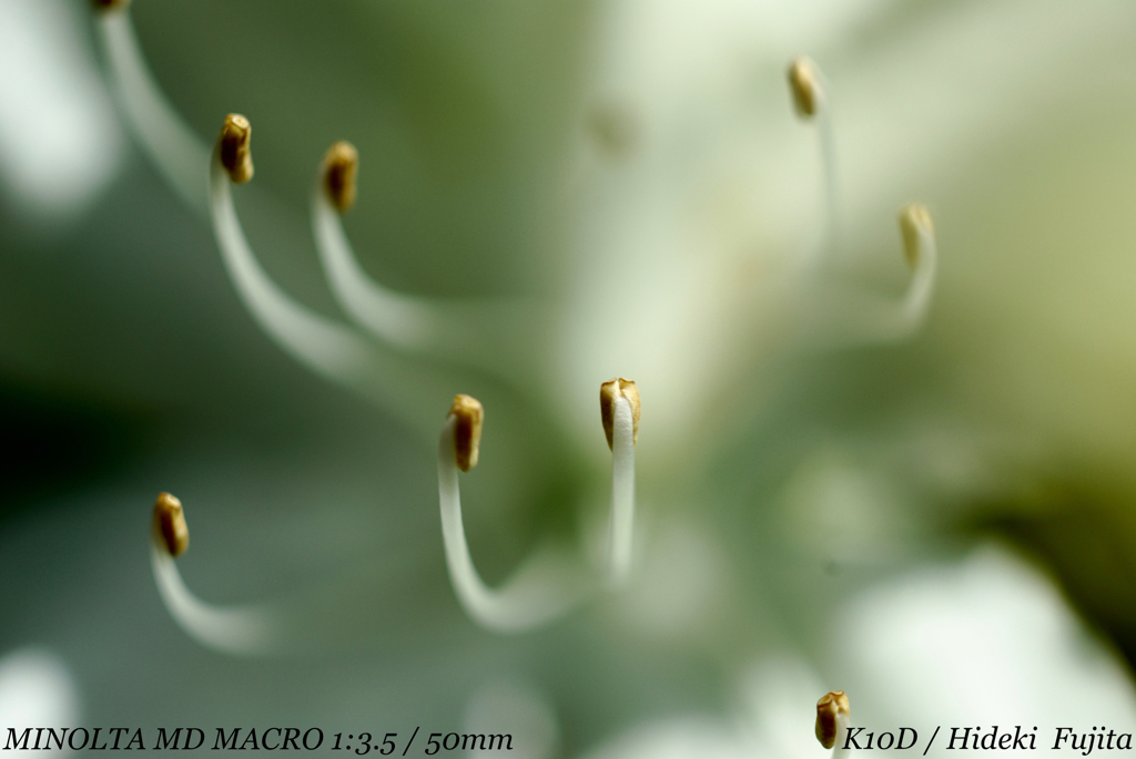 869D9FFE-E558-4A16-86BE-9308F4B40292