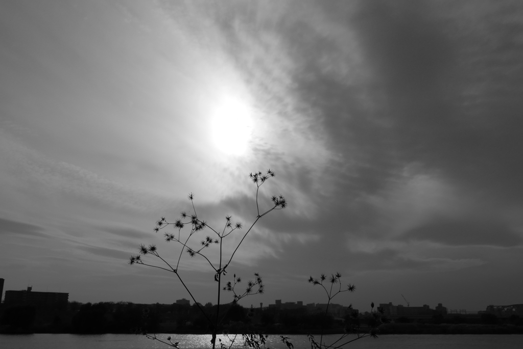河川敷にて