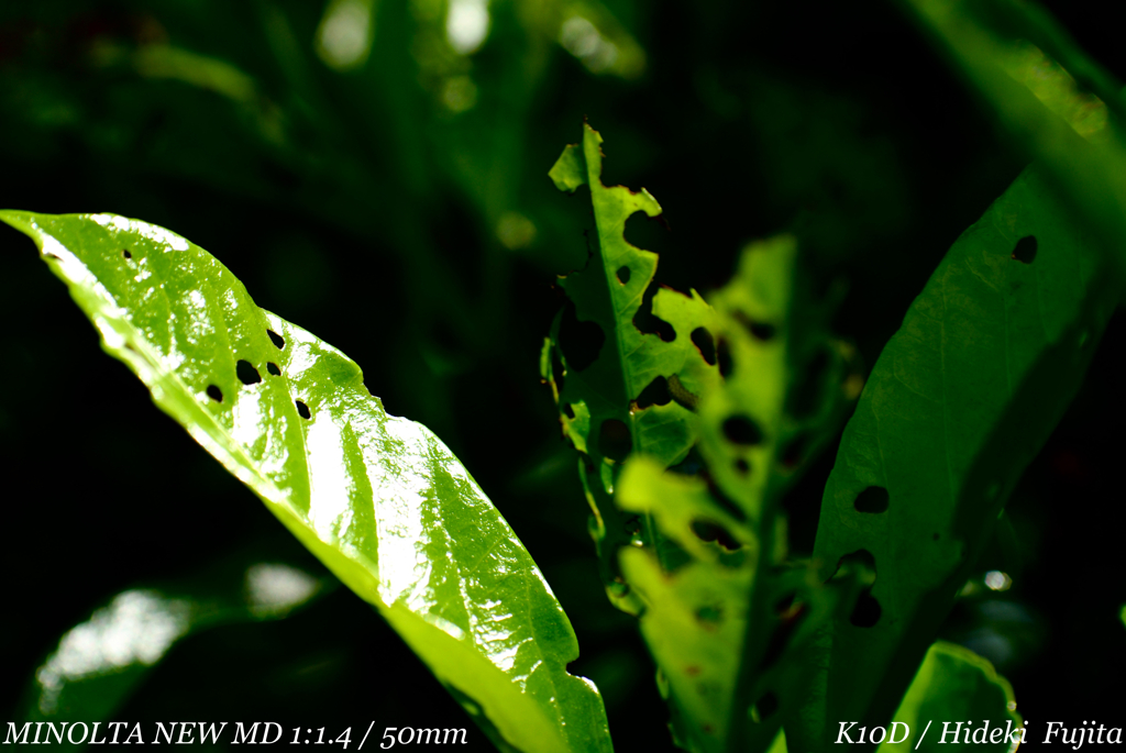 D567E62C-9CCE-4763-9730-524E2FFFB5A8