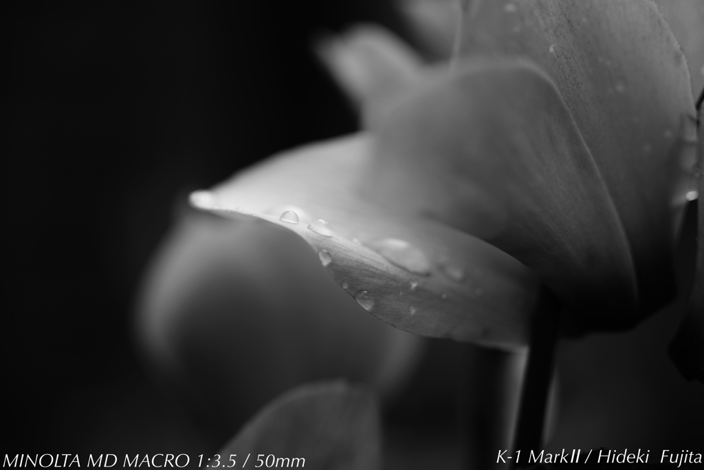 雨上がり